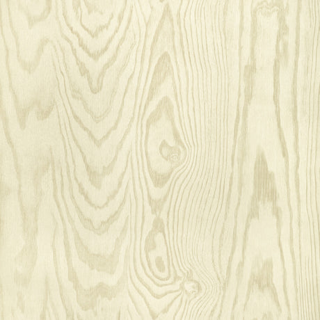KRAVET DESIGN W4168.106.0 KRAVET DESIGN W4168-106 Wallpaper - Eade's Wallpaper