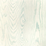 KRAVET DESIGN W4168.15.0 KRAVET DESIGN W4168-15 Wallpaper - Eade's Wallpaper