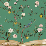 KRAVET DESIGN W4177.340.0 KRAVET DESIGN W4177-340 Wallpaper - Eade's Wallpaper