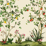 KRAVET DESIGN W4184.314.0 KRAVET DESIGN W4184-314 Wallpaper - Eade's Wallpaper