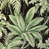 KRAVET DESIGN W4190.830.0 KRAVET DESIGN W4190-830 Wallpaper - Eade's Wallpaper