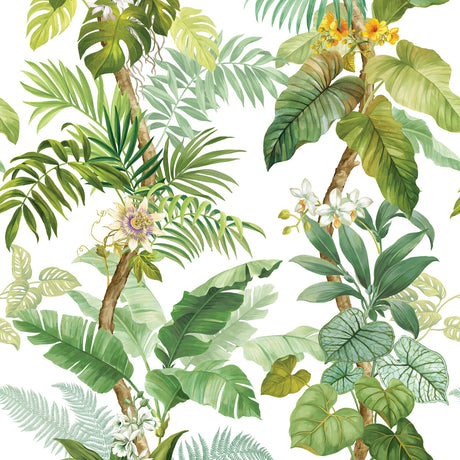KRAVET DESIGN W4196.3.0 KRAVET DESIGN W4196-3 Wallpaper - Eade's Wallpaper