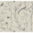 KRAVET DESIGN W4238.16.0 KRAVET DESIGN W4238-16 Wallpaper - Eade's Wallpaper