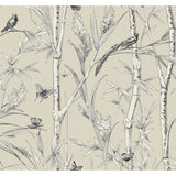 KRAVET DESIGN W4238.16.0 KRAVET DESIGN W4238-16 Wallpaper - Eade's Wallpaper