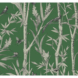 KRAVET DESIGN W4238.31.0 KRAVET DESIGN W4238-31 Wallpaper - Eade's Wallpaper