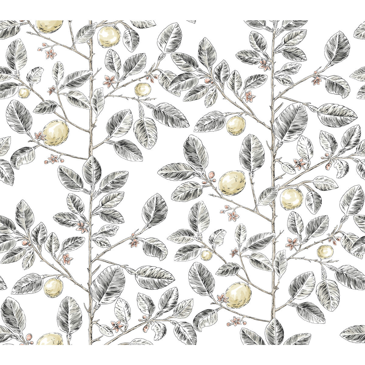 KRAVET DESIGN W4241.21.0 KRAVET DESIGN W4241-21 Wallpaper - Eade's Wallpaper