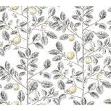 KRAVET DESIGN W4241.21.0 KRAVET DESIGN W4241-21 Wallpaper - Eade's Wallpaper
