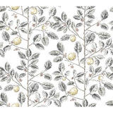 KRAVET DESIGN W4241.21.0 KRAVET DESIGN W4241-21 Wallpaper - Eade's Wallpaper