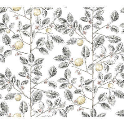 KRAVET DESIGN W4241.21.0 KRAVET DESIGN W4241-21 Wallpaper - Eade's Wallpaper