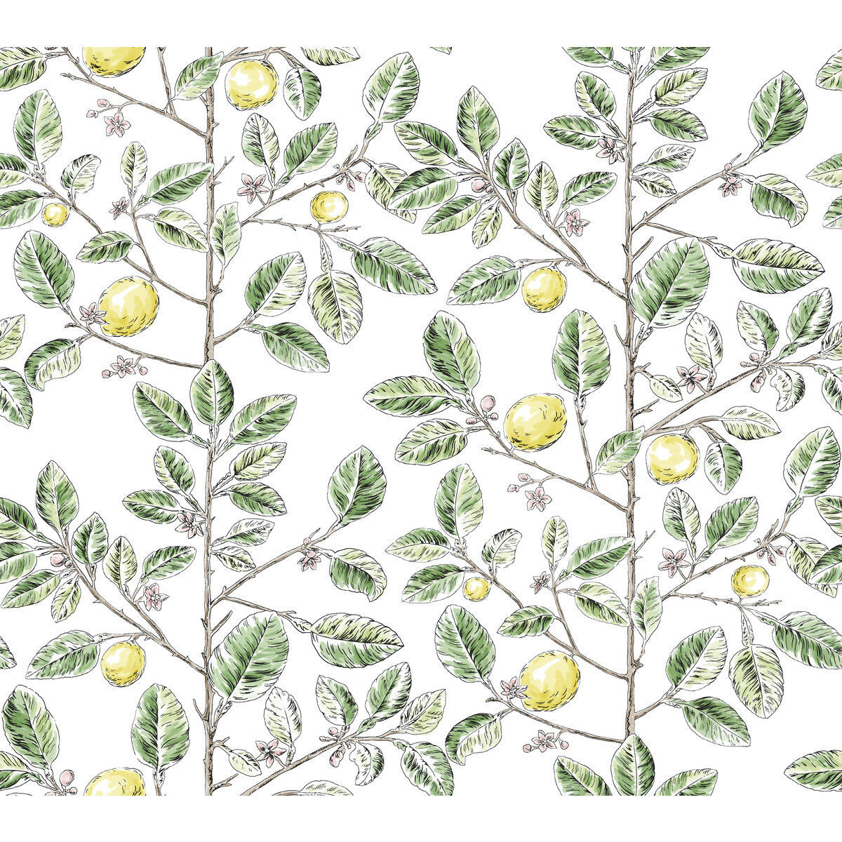 KRAVET DESIGN W4241.340.0 KRAVET DESIGN W4241-340 Wallpaper - Eade's Wallpaper