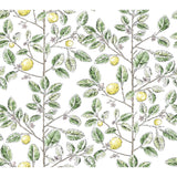 KRAVET DESIGN W4241.340.0 KRAVET DESIGN W4241-340 Wallpaper - Eade's Wallpaper