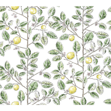 KRAVET DESIGN W4241.340.0 KRAVET DESIGN W4241-340 Wallpaper - Eade's Wallpaper