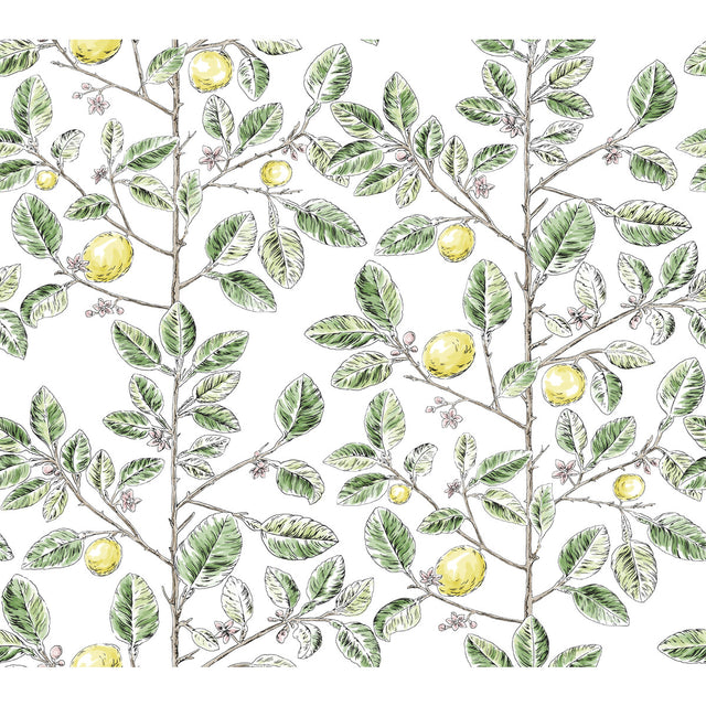KRAVET DESIGN W4241.340.0 KRAVET DESIGN W4241-340 Wallpaper - Eade's Wallpaper