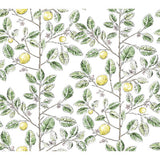KRAVET DESIGN W4241.340.0 KRAVET DESIGN W4241-340 Wallpaper - Eade's Wallpaper
