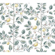 KRAVET DESIGN W4241.354.0 KRAVET DESIGN W4241-354 Wallpaper - Eade's Wallpaper