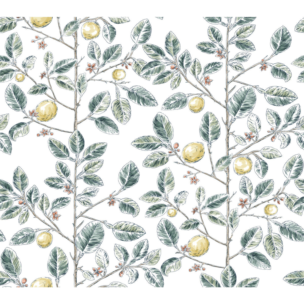 KRAVET DESIGN W4241.354.0 KRAVET DESIGN W4241-354 Wallpaper - Eade's Wallpaper