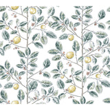 KRAVET DESIGN W4241.354.0 KRAVET DESIGN W4241-354 Wallpaper - Eade's Wallpaper