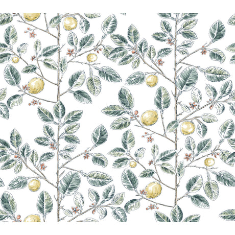 KRAVET DESIGN W4241.354.0 KRAVET DESIGN W4241-354 Wallpaper - Eade's Wallpaper