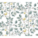 KRAVET DESIGN W4241.354.0 KRAVET DESIGN W4241-354 Wallpaper - Eade's Wallpaper
