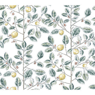 KRAVET DESIGN W4241.354.0 KRAVET DESIGN W4241-354 Wallpaper - Eade's Wallpaper