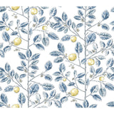 KRAVET DESIGN W4241.540.0 KRAVET DESIGN W4241-540 Wallpaper - Eade's Wallpaper