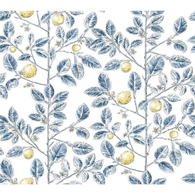 KRAVET DESIGN W4241.540.0 KRAVET DESIGN W4241-540 Wallpaper - Eade's Wallpaper