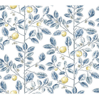 KRAVET DESIGN W4241.540.0 KRAVET DESIGN W4241-540 Wallpaper - Eade's Wallpaper