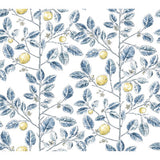 KRAVET DESIGN W4241.540.0 KRAVET DESIGN W4241-540 Wallpaper - Eade's Wallpaper