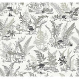 KRAVET DESIGN W4244.1121.0 KRAVET DESIGN W4244-1121 Wallpaper - Eade's Wallpaper