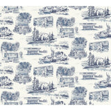 KRAVET DESIGN W4245.51.0 KRAVET DESIGN W4245-51 Wallpaper - Eade's Wallpaper