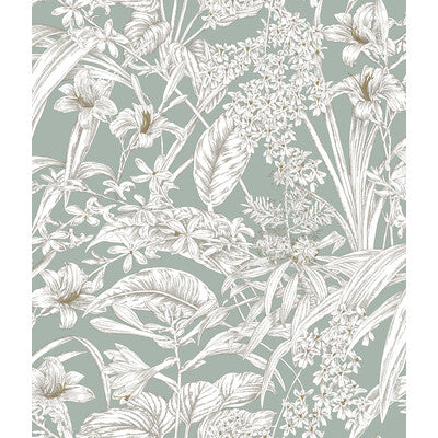 KRAVET DESIGN W4248.13.0 KRAVET DESIGN W4248-13 Wallpaper - Eade's Wallpaper