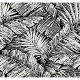 KRAVET DESIGN W4249.81.0 KRAVET DESIGN W4249-81 Wallpaper - Eade's Wallpaper