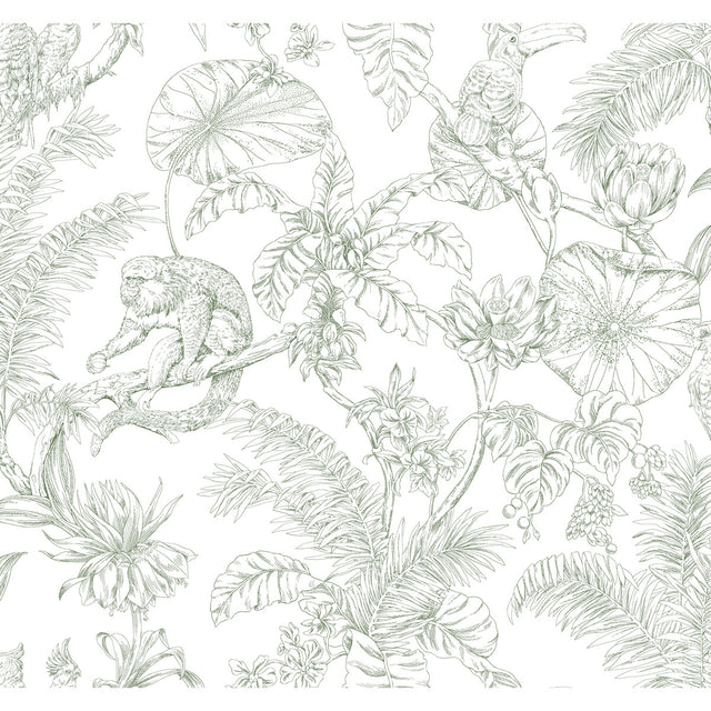 KRAVET DESIGN W4250.31.0 KRAVET DESIGN W4250-31 Wallpaper - Eade's Wallpaper