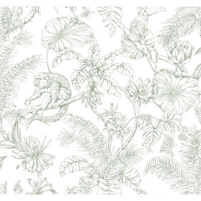 KRAVET DESIGN W4250.31.0 KRAVET DESIGN W4250-31 Wallpaper - Eade's Wallpaper