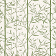KRAVET COUTURE W4258.31.0 BAMBOO WP CACTUS Fabric - HARWOOD STEIGER WALLCOVERING