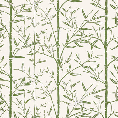 KRAVET COUTURE W4258.31.0 BAMBOO WP CACTUS Fabric - HARWOOD STEIGER WALLCOVERING