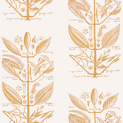 KRAVET COUTURE W4263.404.0 SUGAR AND SPICE WP GOLD Fabric - HARWOOD STEIGER WALLCOVERING