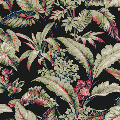 KRAVET DESIGN W4272.819.0 KRAVET DESIGN W4272-819 Fabric - RONALD REDDING CLASSICS