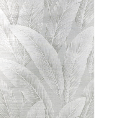 KRAVET DESIGN KRAVET DESIGN W4276.11.0 in W4276-11 Wallpaper