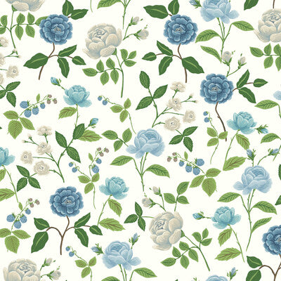 KRAVET DESIGN W4299.511.0 KRAVET DESIGN W4299-51 Fabric - RIFLE PAPER CO THIRD EDITION