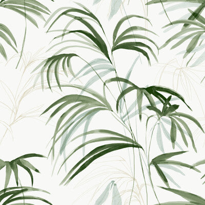 KRAVET DESIGN W4305.31.0 KRAVET DESIGN W4305-31 Fabric - CANDICE OLSON NATURAL DISCOVERY