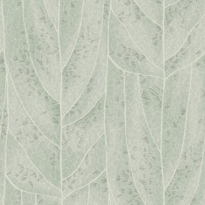 KRAVET DESIGN W4308.135.0 KRAVET DESIGN W4308-135 Fabric - CANDICE OLSON NATURAL DISCOVERY