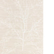 KRAVET DESIGN KRAVET DESIGN W4323.16.0 in W4323-16 Wallpaper