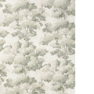 KRAVET DESIGN KRAVET DESIGN W4330.11.0 in W4330-11 Wallpaper