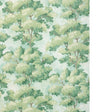KRAVET DESIGN KRAVET DESIGN W4330.3.0 in W4330-3 Wallpaper -