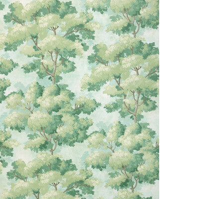 KRAVET DESIGN KRAVET DESIGN W4330.3.0 in W4330-3 Wallpaper -