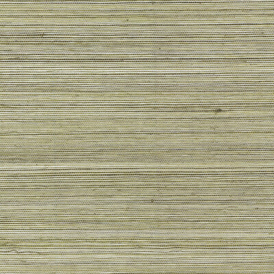 KRAVET COUTURE RAFFIA WP W4356.61.0 in 4765 Wallpaper - MISS