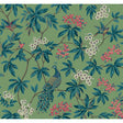 KRAVET DESIGN KRAVET DESIGN W4413.335.0 in W4413-335 Wallpap
