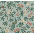 KRAVET DESIGN KRAVET DESIGN W4413.535.0 in W4413-535 Wallpap