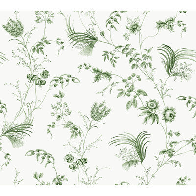 KRAVET DESIGN KRAVET DESIGN W4415.3.0 in W4415-3 Wallpaper -
